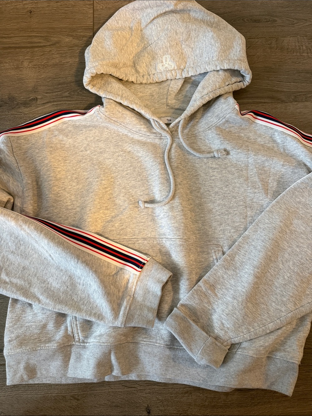 TNA Aritzia Light Gray Hoodie with Red-White-Blue Shoulder Stripe